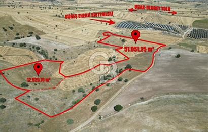 BÜYÜK TOPRAK FIRSATI UŞAK MERKEZ'E 15 KM MESAFEDE 63.981m² TARLA