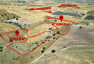 BÜYÜK TOPRAK FIRSATI UŞAK MERKEZ'E 15 KM MESAFEDE 63.981m² TARLA