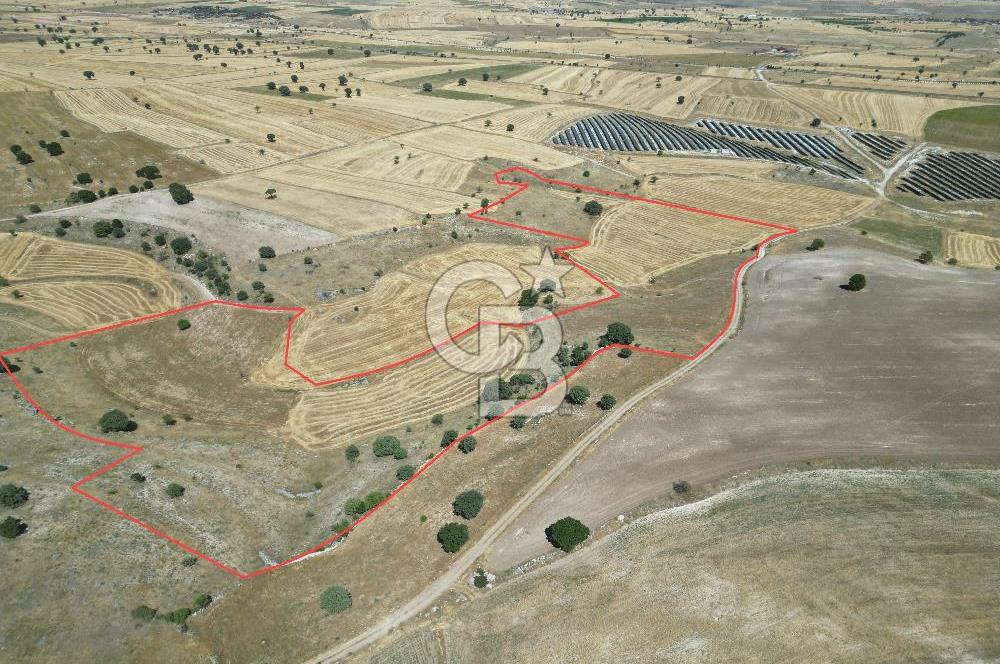 BÜYÜK TOPRAK FIRSATI UŞAK MERKEZ'E 15 KM MESAFEDE 63.981m² TARLA