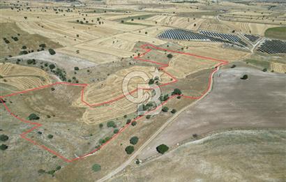 BÜYÜK TOPRAK FIRSATI UŞAK MERKEZ'E 15 KM MESAFEDE 63.981m² TARLA