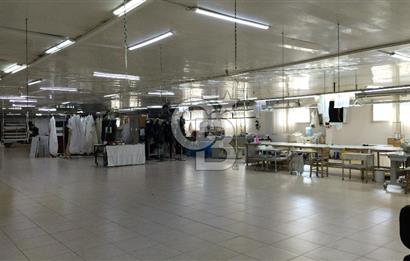 İzmir, Bornova, Çamdibi, 1.150 m2 Kiralık Atölye