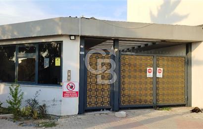 Bayraklı, Yamanlar Mah., Olympus da, 3+1 Kiralık Daire