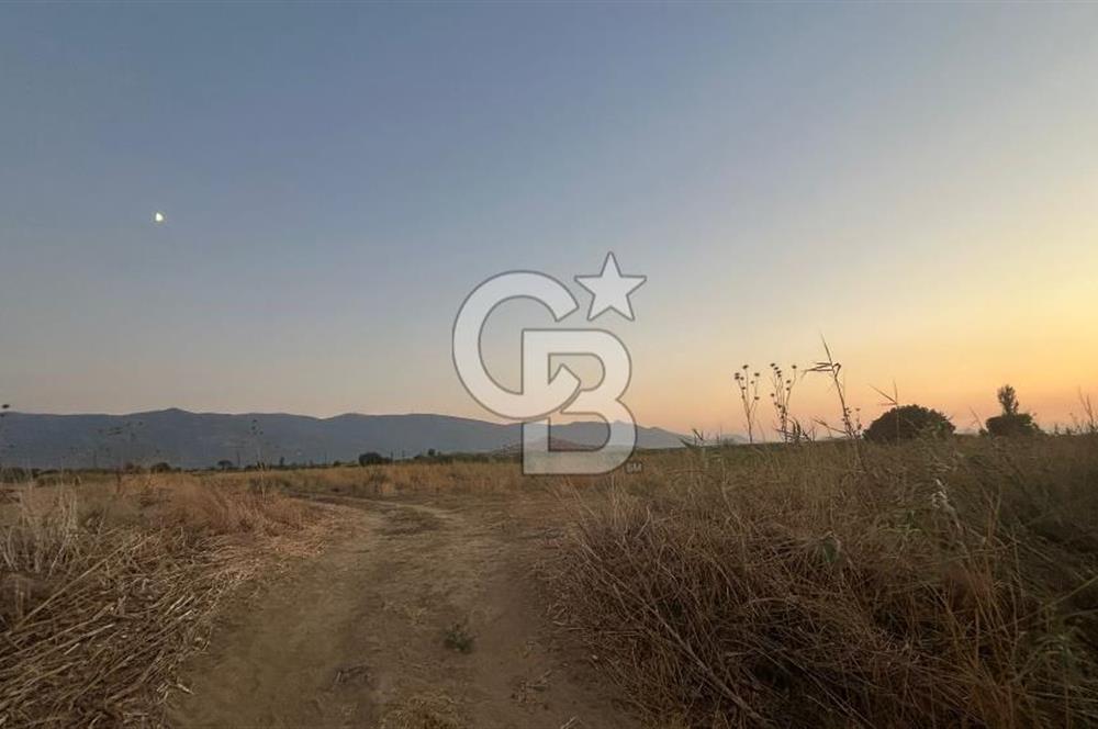 izmir Tire Adnan Manderes 4.198m2 Satılık Tarla