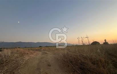 izmir Tire Adnan Manderes 4.198m2 Satılık Tarla