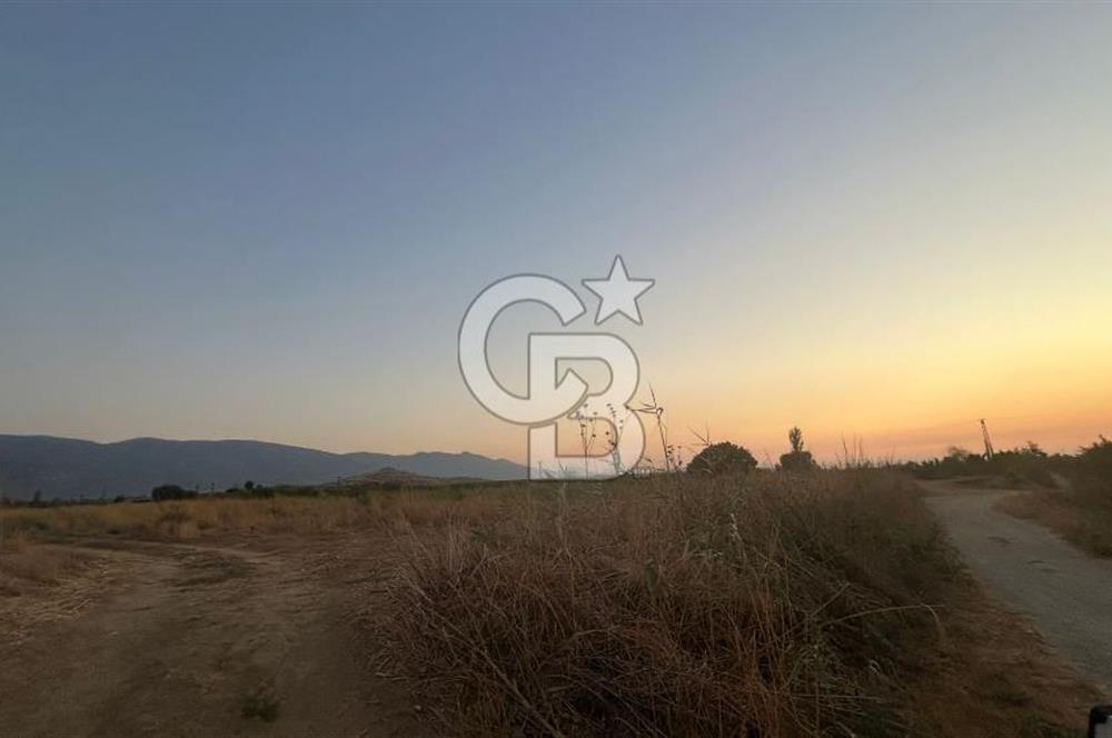 izmir Tire Adnan Manderes 4.198m2 Satılık Tarla