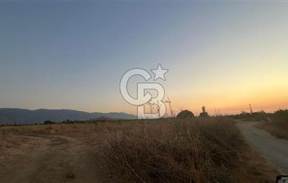 izmir Tire Adnan Manderes 4.198m2 Satılık Tarla