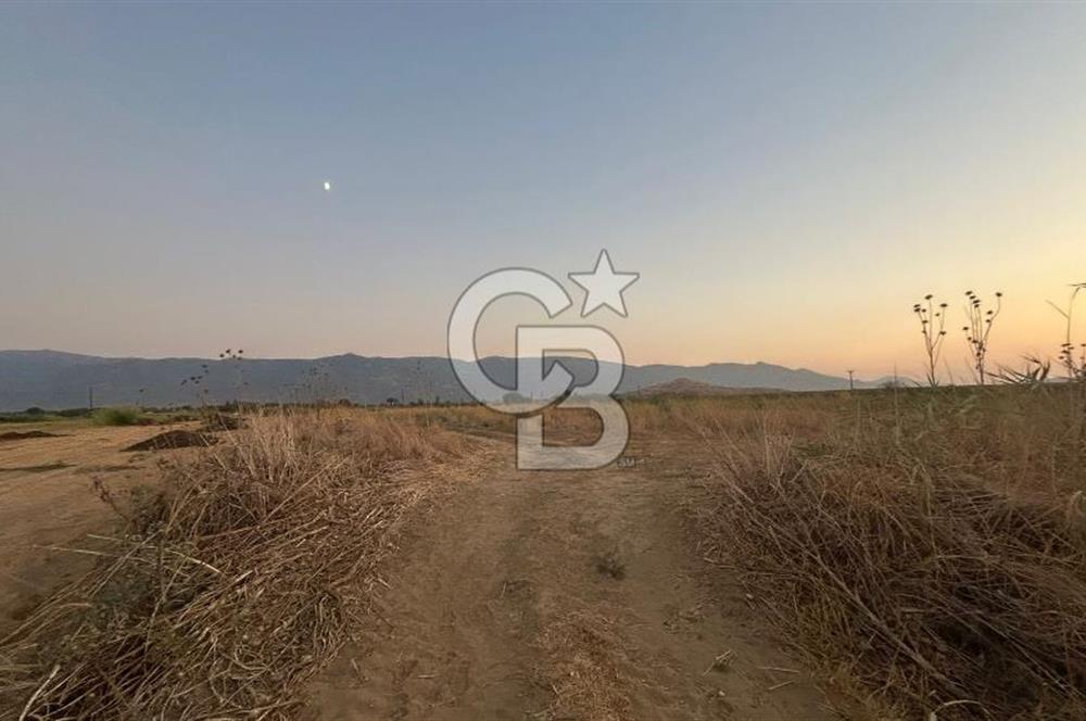 izmir Tire Adnan Manderes 4.198m2 Satılık Tarla