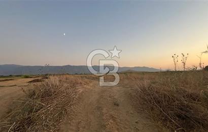 izmir Tire Adnan Manderes 4.198m2 Satılık Tarla