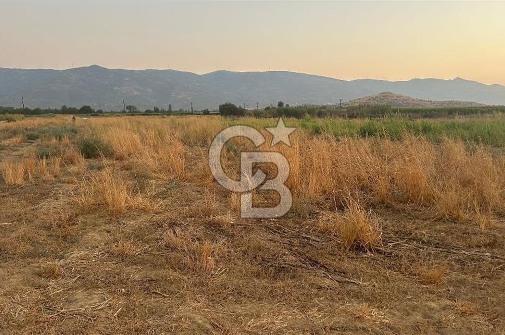 izmir Tire Adnan Manderes 4.198m2 Satılık Tarla