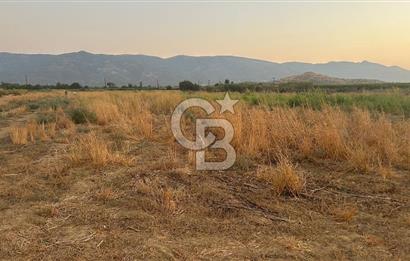 izmir Tire Adnan Manderes 4.198m2 Satılık Tarla