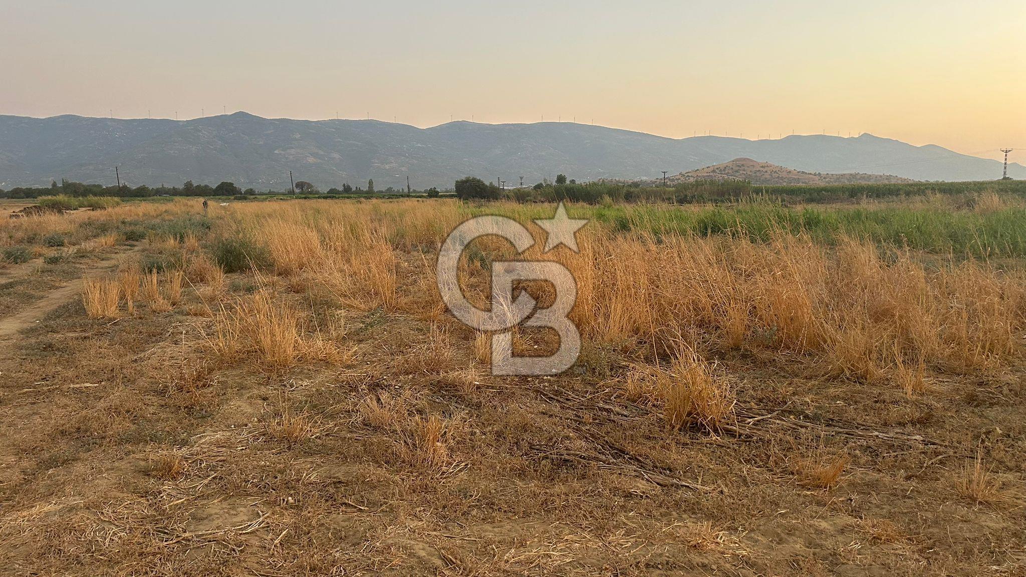 izmir Tire Adnan Manderes 4.198m2 Satılık Tarla