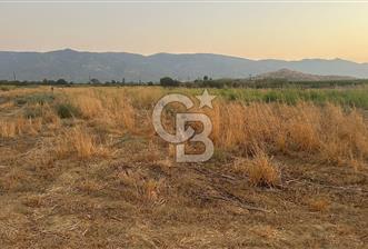 izmir Tire Adnan Manderes 4.198m2 Satılık Tarla