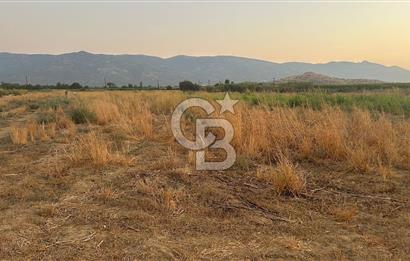 izmir Tire Adnan Manderes 4.198m2 Satılık Tarla