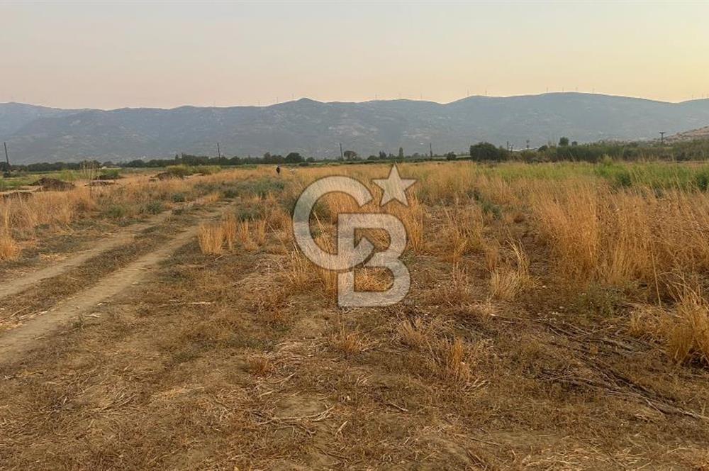izmir Tire Adnan Manderes 4.198m2 Satılık Tarla