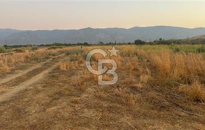 izmir Tire Adnan Manderes 4.198m2 Satılık Tarla