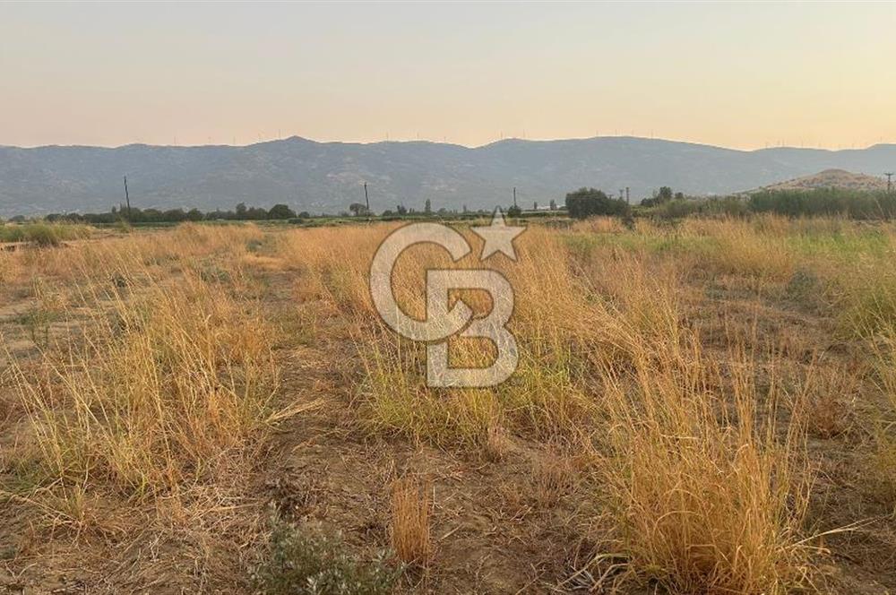 izmir Tire Adnan Manderes 4.198m2 Satılık Tarla