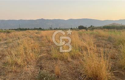 izmir Tire Adnan Manderes 4.198m2 Satılık Tarla