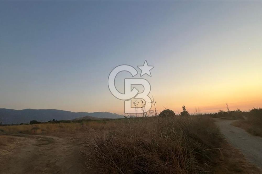 izmir Tire Adnan Manderes 4.198m2 Satılık Tarla