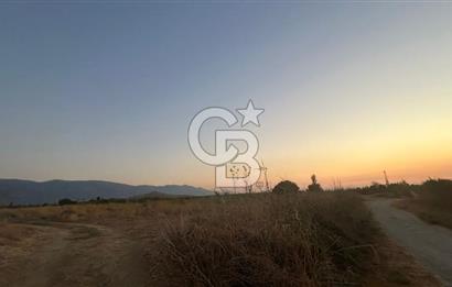 izmir Tire Adnan Manderes 4.198m2 Satılık Tarla