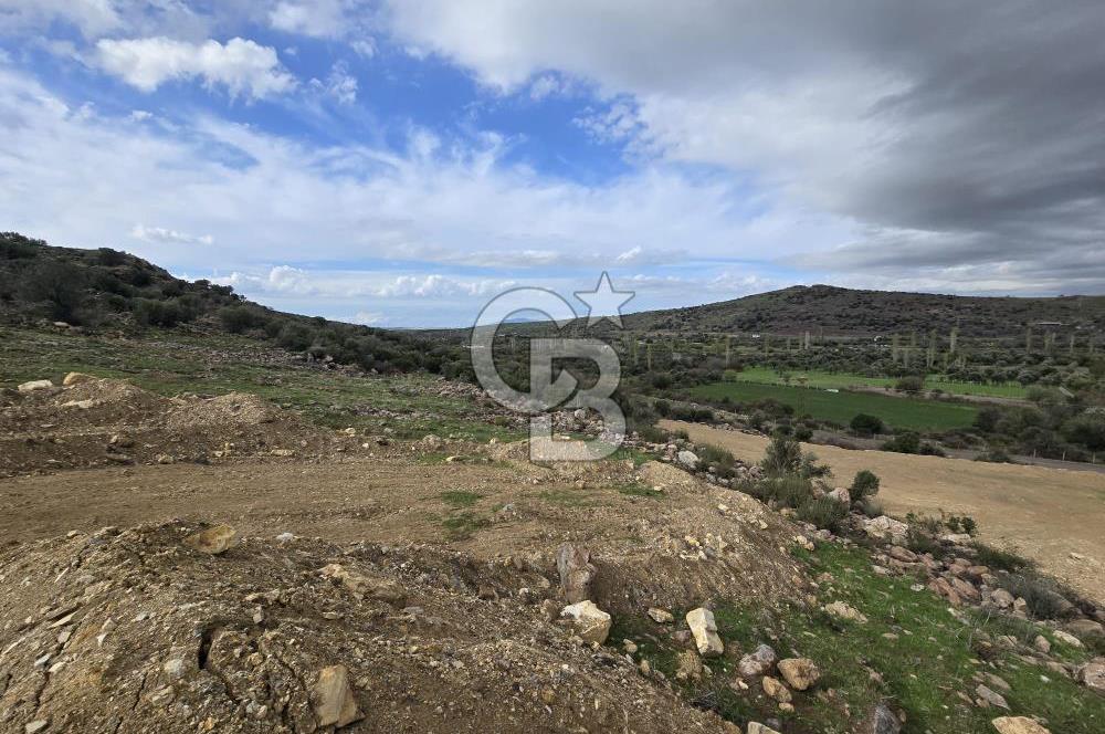 KAÇIRILMAYACAK FIRSAT: UZUNHASANLARDA 400 M² YATIRIMLIK TARLA!