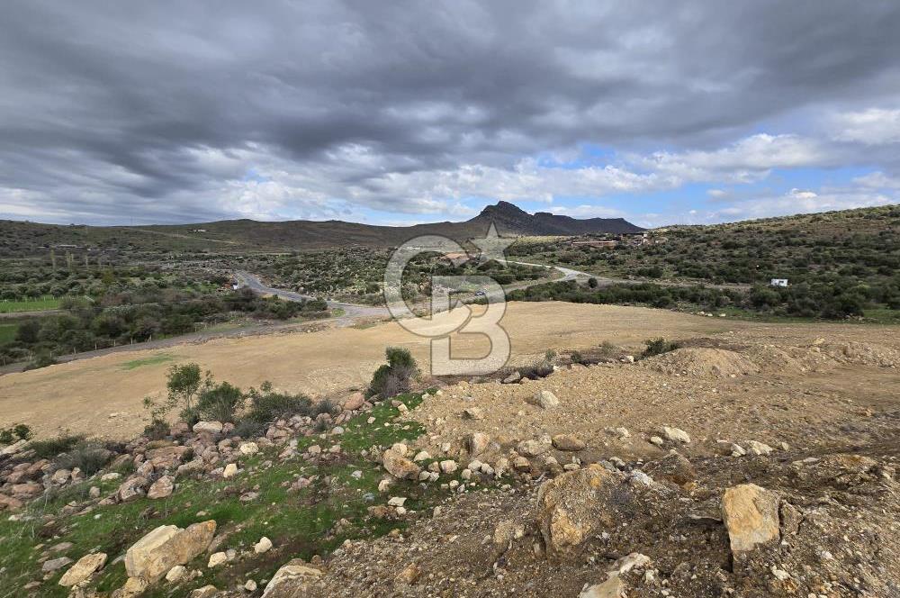 KAÇIRILMAYACAK FIRSAT: UZUNHASANLARDA 400 M² YATIRIMLIK TARLA!