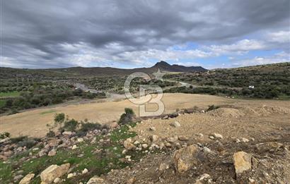 KAÇIRILMAYACAK FIRSAT: UZUNHASANLARDA 400 M² YATIRIMLIK TARLA!