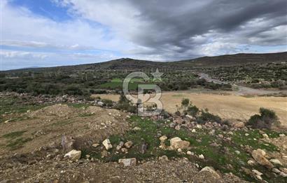 KAÇIRILMAYACAK FIRSAT: UZUNHASANLARDA 400 M² YATIRIMLIK TARLA!