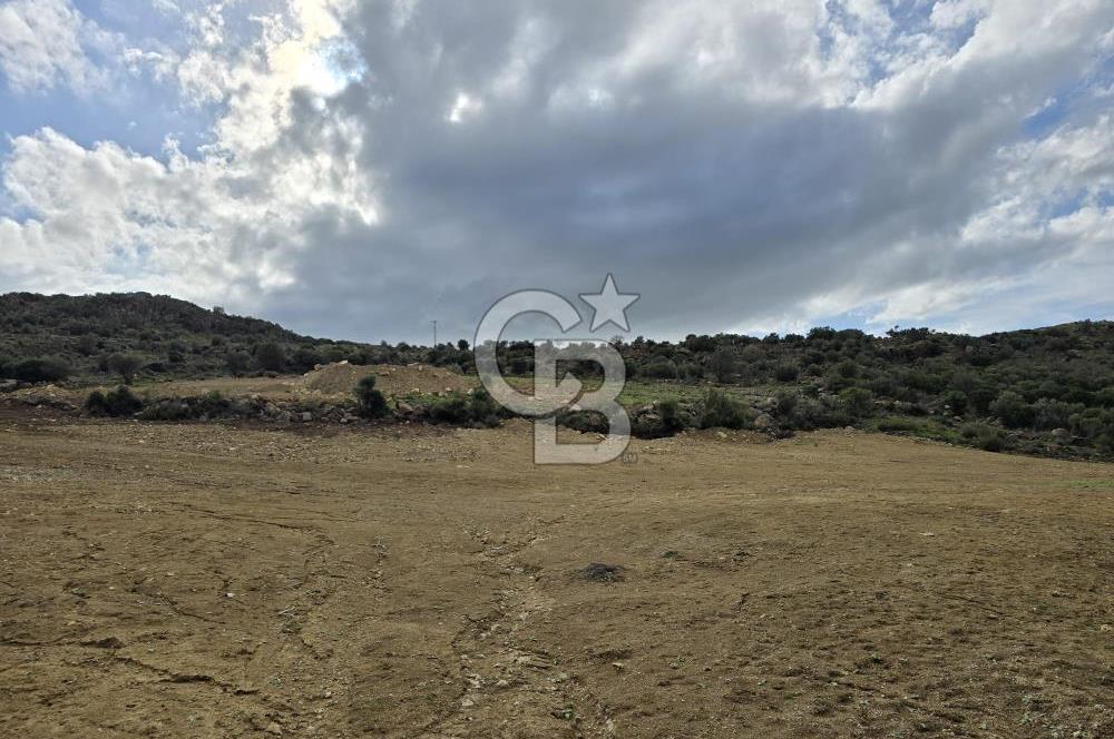 KAÇIRILMAYACAK FIRSAT: UZUNHASANLARDA 400 M² YATIRIMLIK TARLA!