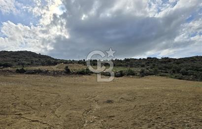 KAÇIRILMAYACAK FIRSAT: UZUNHASANLARDA 400 M² YATIRIMLIK TARLA!