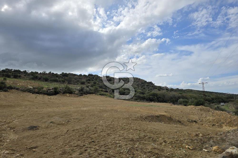 KAÇIRILMAYACAK FIRSAT: UZUNHASANLARDA 400 M² YATIRIMLIK TARLA!