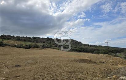 KAÇIRILMAYACAK FIRSAT: UZUNHASANLARDA 400 M² YATIRIMLIK TARLA!