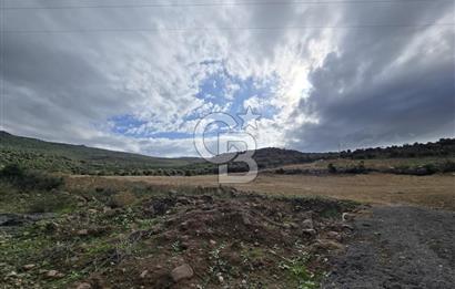 KAÇIRILMAYACAK FIRSAT: UZUNHASANLARDA 400 M² YATIRIMLIK TARLA!