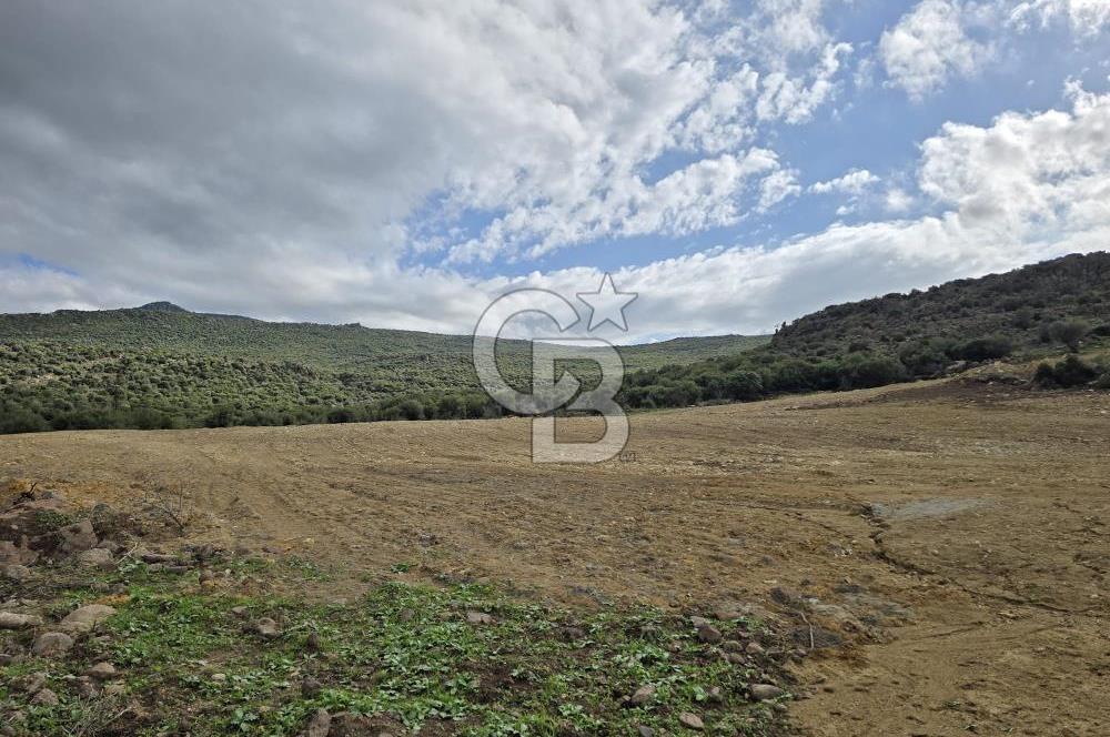 KAÇIRILMAYACAK FIRSAT: UZUNHASANLARDA 400 M² YATIRIMLIK TARLA!