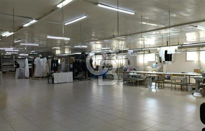 Bornova, Çamdibi, Tuna Mah., 2950 m2 Satılık Komple Bina