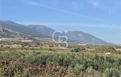 Armutlu 85.Yıl Cumhuriyette Anayol'a yakın Tarla Ve Bağ