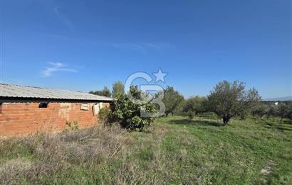 Armutlu 85.Yıl Cumhuriyette Anayol'a yakın Tarla Ve Bağ