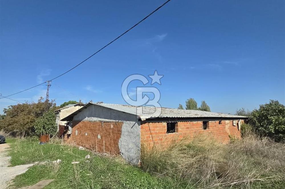 Armutlu 85.Yıl Cumhuriyette Anayol'a yakın Tarla Ve Bağ