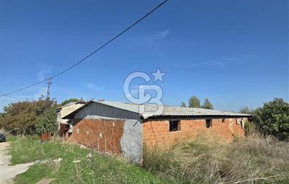 Armutlu 85.Yıl Cumhuriyette Anayol'a yakın Tarla Ve Bağ