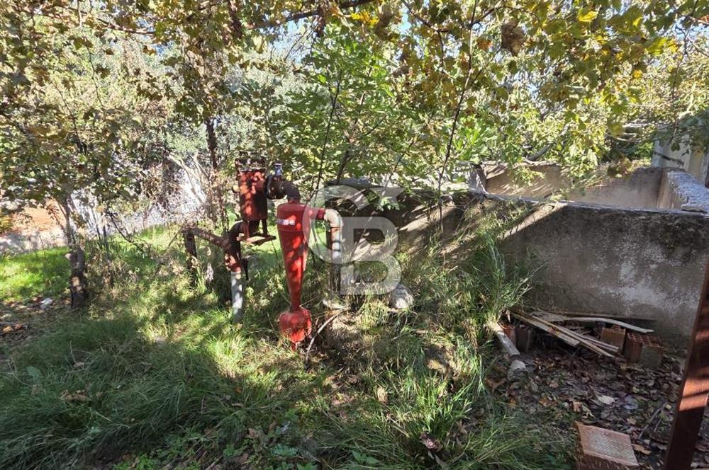 Armutlu 85.Yıl Cumhuriyette Anayol'a yakın Tarla Ve Bağ