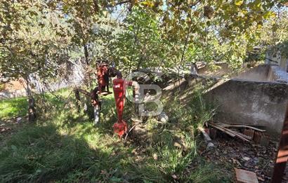 Armutlu 85.Yıl Cumhuriyette Anayol'a yakın Tarla Ve Bağ