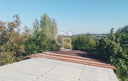 Armutlu 85.Yıl Cumhuriyette Anayol'a yakın Tarla Ve Bağ