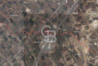 Satılık Manisa Sancaklı Bozköyde 15.000M2 Zeytinlik