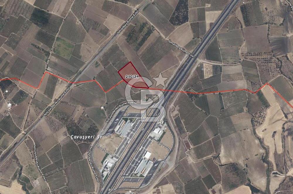 Satılık Manisa Sancaklı Bozköyde 15.000M2 Zeytinlik