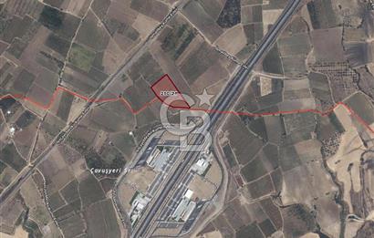Satılık Manisa Sancaklı Bozköyde 15.000M2 Zeytinlik