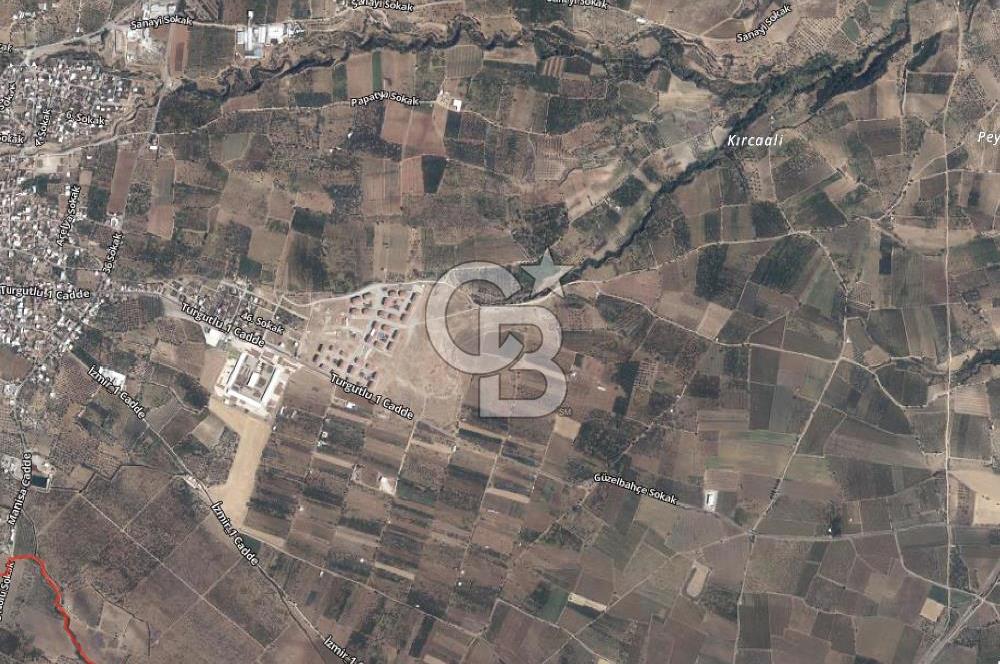 Satılık zeytinlik 2.877 m² Yol var