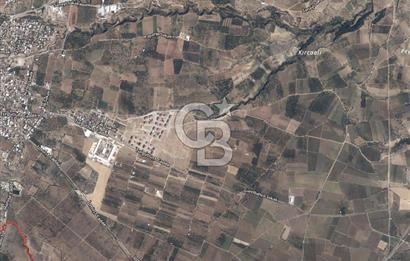 Satılık zeytinlik 2.877 m² Yol var