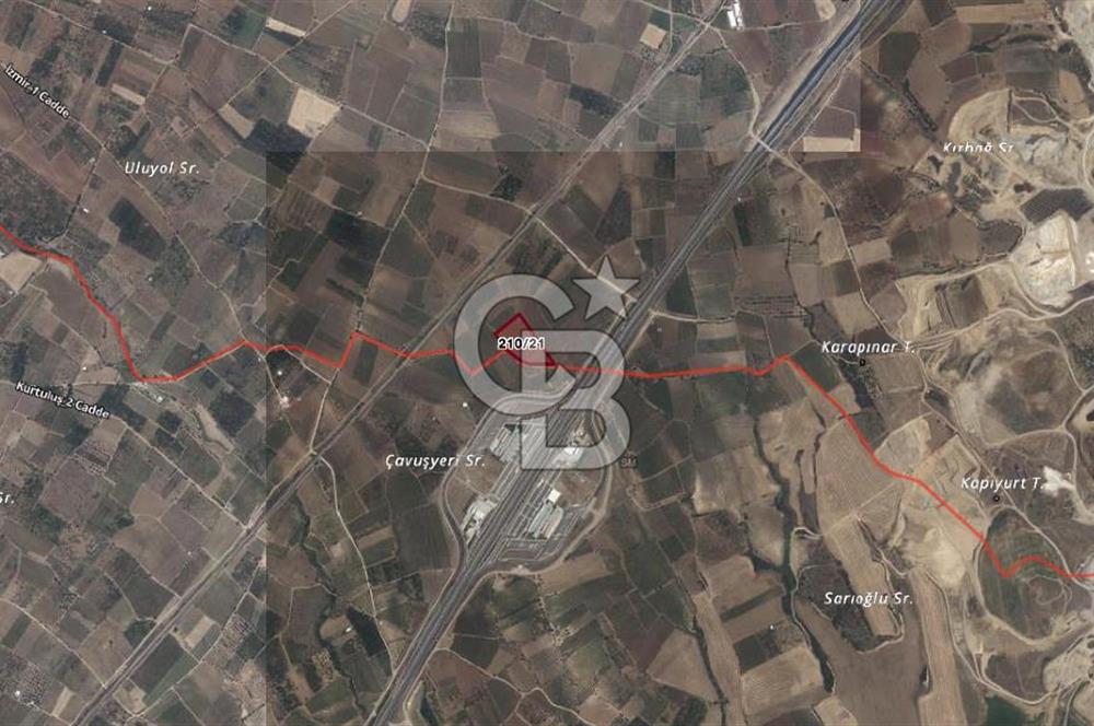 Satılık Manisa Sancaklı Bozköyde 15.000M2 Zeytinlik