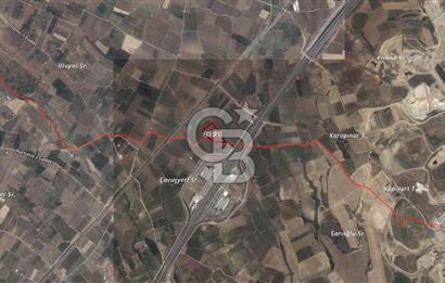 Satılık Manisa Sancaklı Bozköyde 15.000M2 Zeytinlik