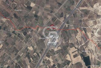 Satılık zeytinlik 2.877 m² Yol var