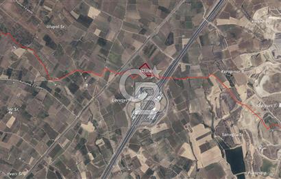 Satılık zeytinlik 2.877 m² Yol var